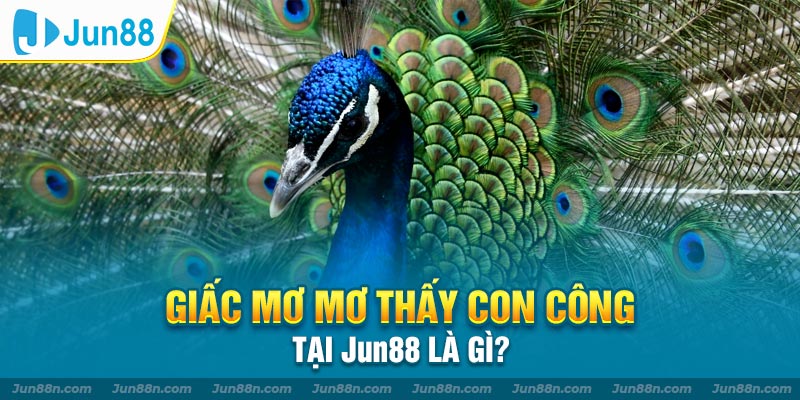 Giải mã giấc mơ mơ thấy con công tại Jun88 là gì?